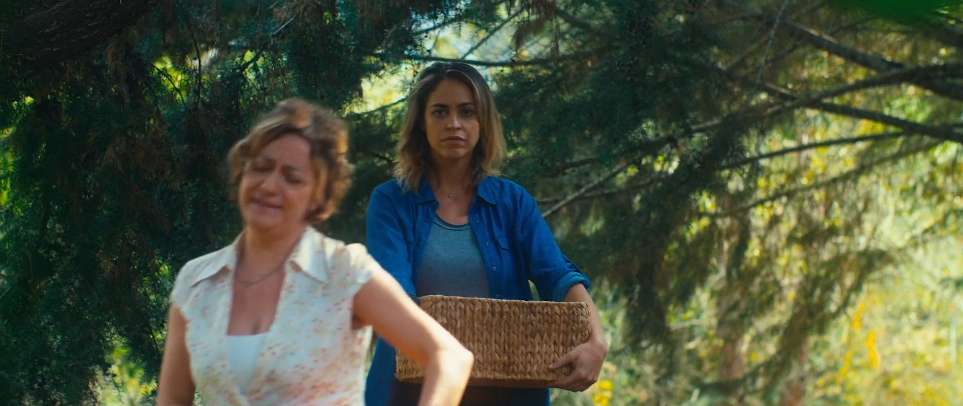 Basf - Legacy | Bravo